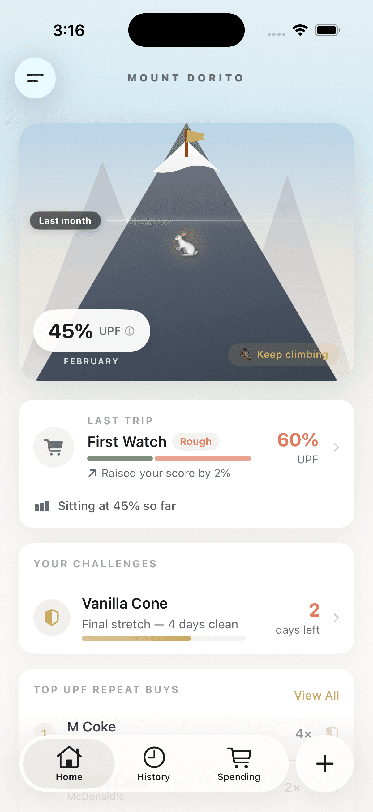 Mount Dorito dashboard with a mountain visualization of ultra-processed food purchases
